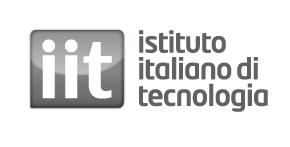 Istituto Italiano di Tecnologia